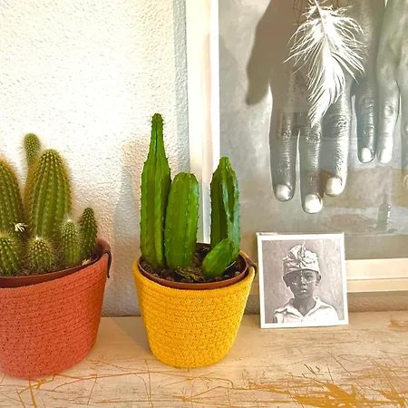 Appartamento Charming & Cosy *